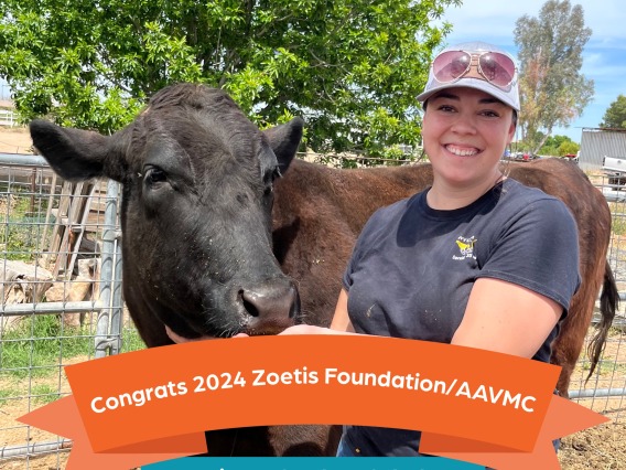 A woman stands next to a cow and smiles. At the bottom of the photo, text reads "Congrats 2024 Zoetis/AAVMC Veterinary Student Scholars!"