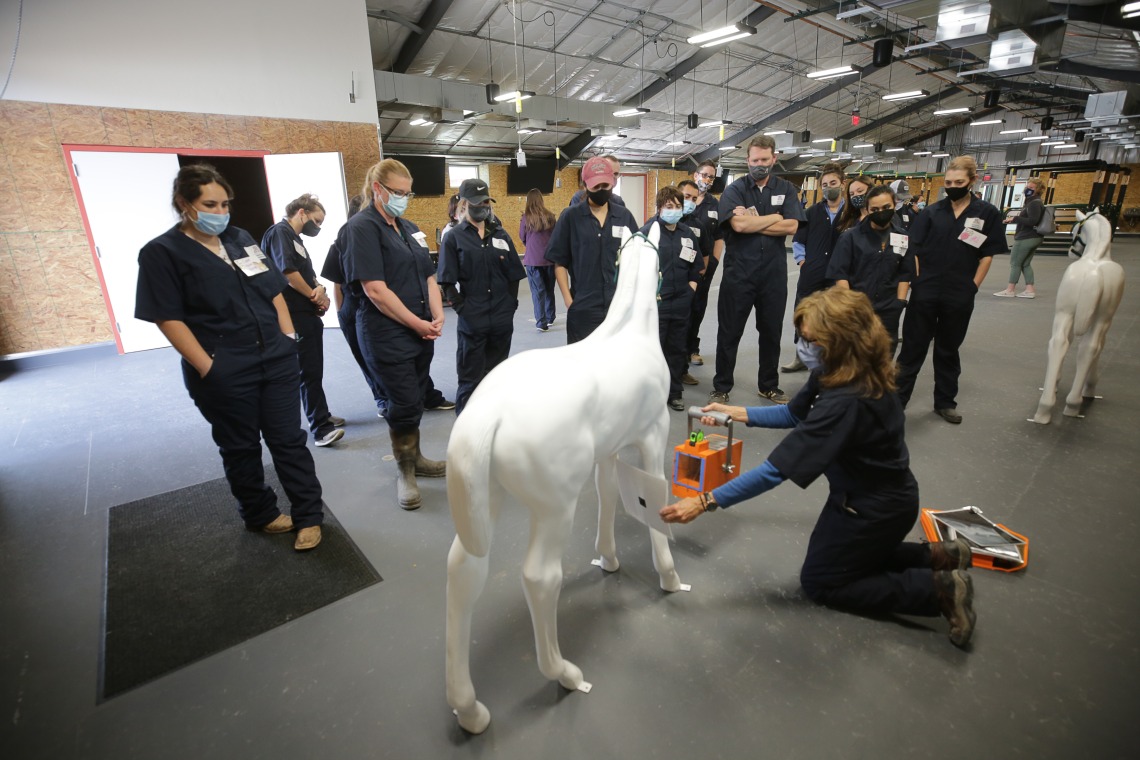 Dr. Gayle Leith demonstrates the use of a model radiology box on a model horse.