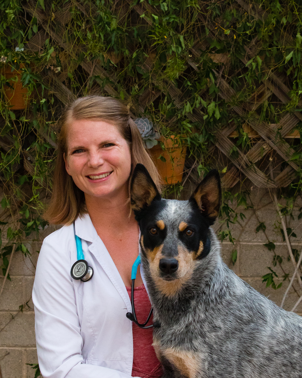 Victoria Sammons, DVM | College of Veterinary Medicine