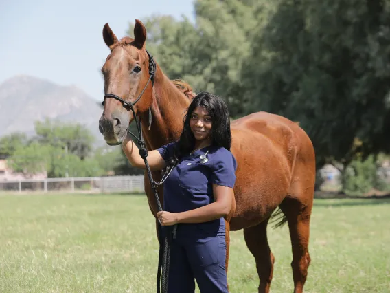 A young woman and a horse look toward the camera. The woman holds a rope in one hand and touches the horse's face with the other.