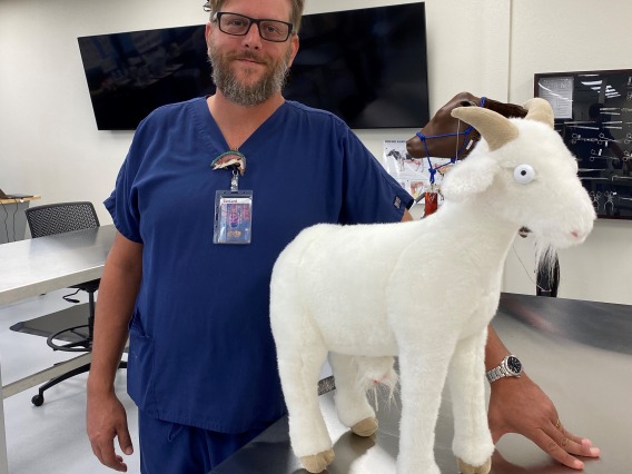 Vet tech Joseph Scarber stands with a model of a goat on an exam table.