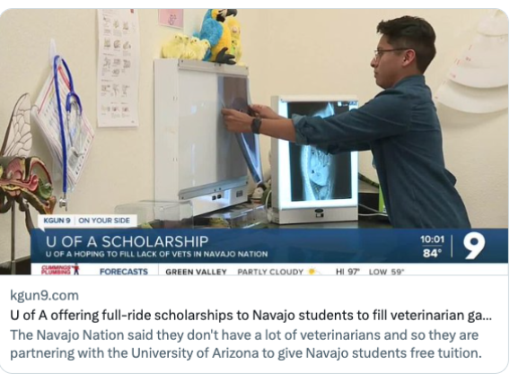 Navajo veterinary scholarship