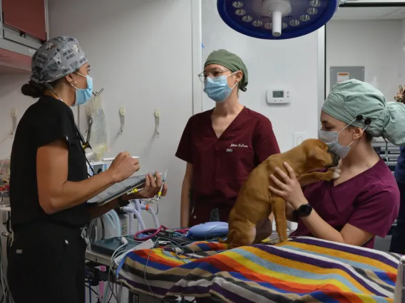 students in the mobile surgery unit