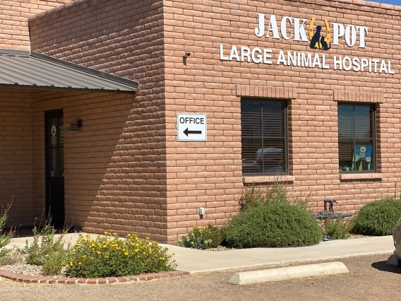 The exterior of Jackpot Veterinary Center: a brick building with flowers in front and signs reading "Jackpot Large Animal Hospital." 