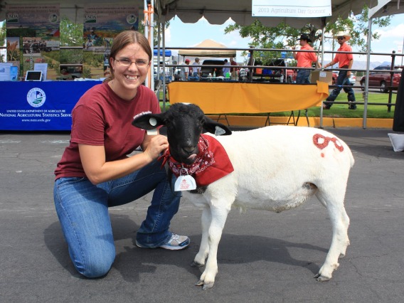 Professor Megan Owen poses with a small sheep with a white body and black head.