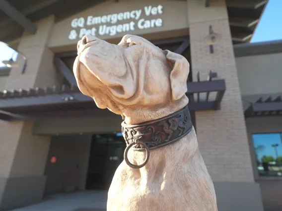 Exterior of Gilbert Queen Creek Emergency Veterinarian