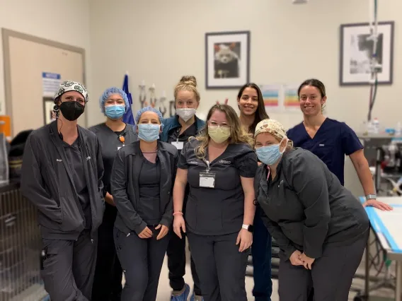 The staff of VetMED poses together for a group photo.