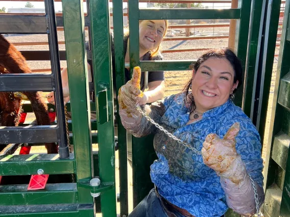 A smiling veterinarian wears gloves and gives a thumbs up.