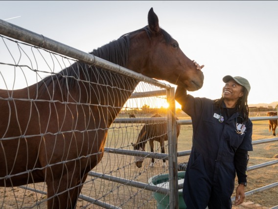 Dominique Williams with a horse at the Campus Agricultural Center