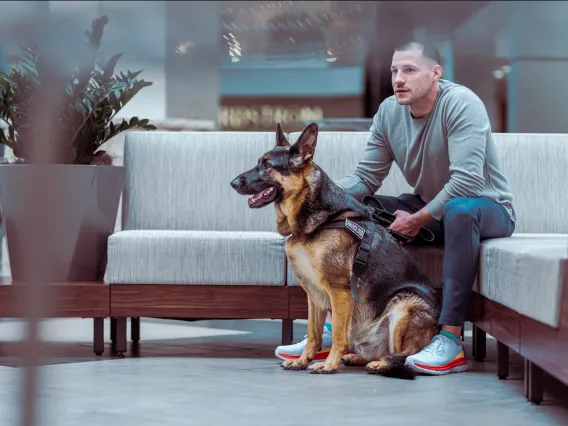 Service dog with handler