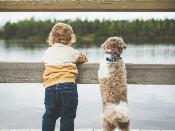 A child and dog stand on a dock and look out at the water.