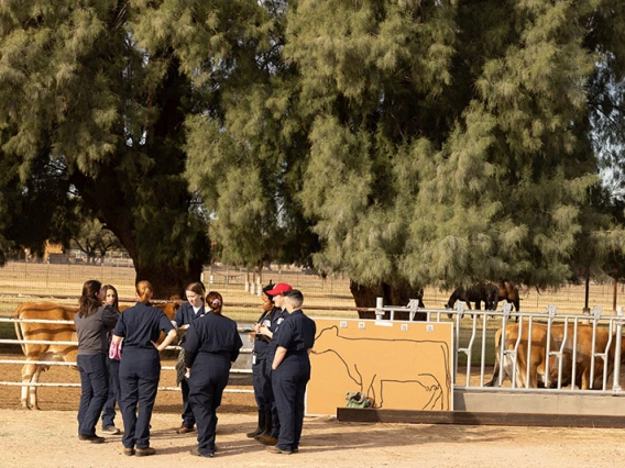 students learning at the farm