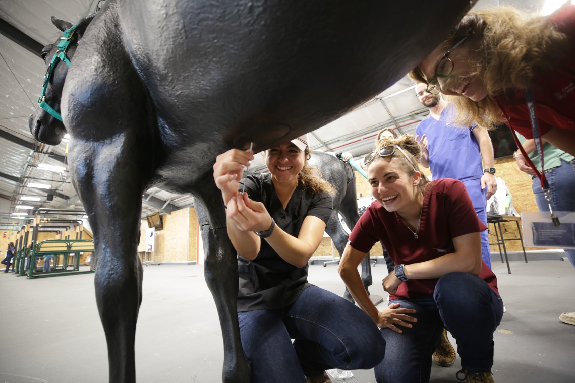 Equine Learning Center Lab