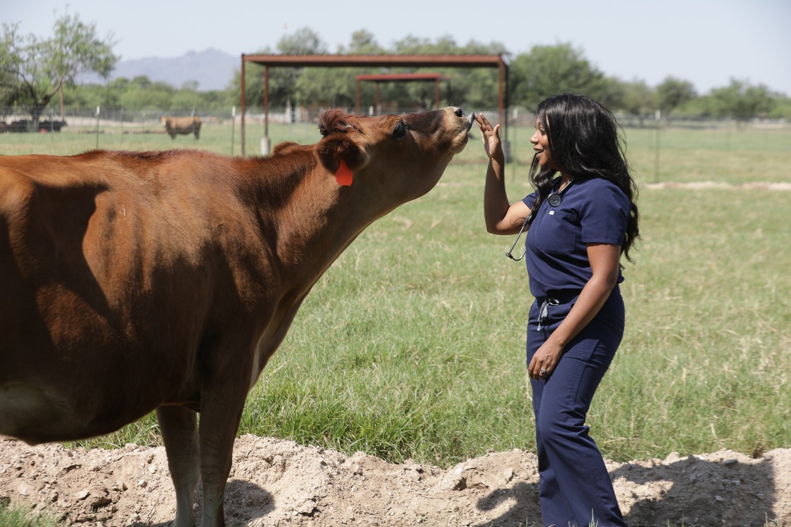 Student Deanira Smith with a cow.