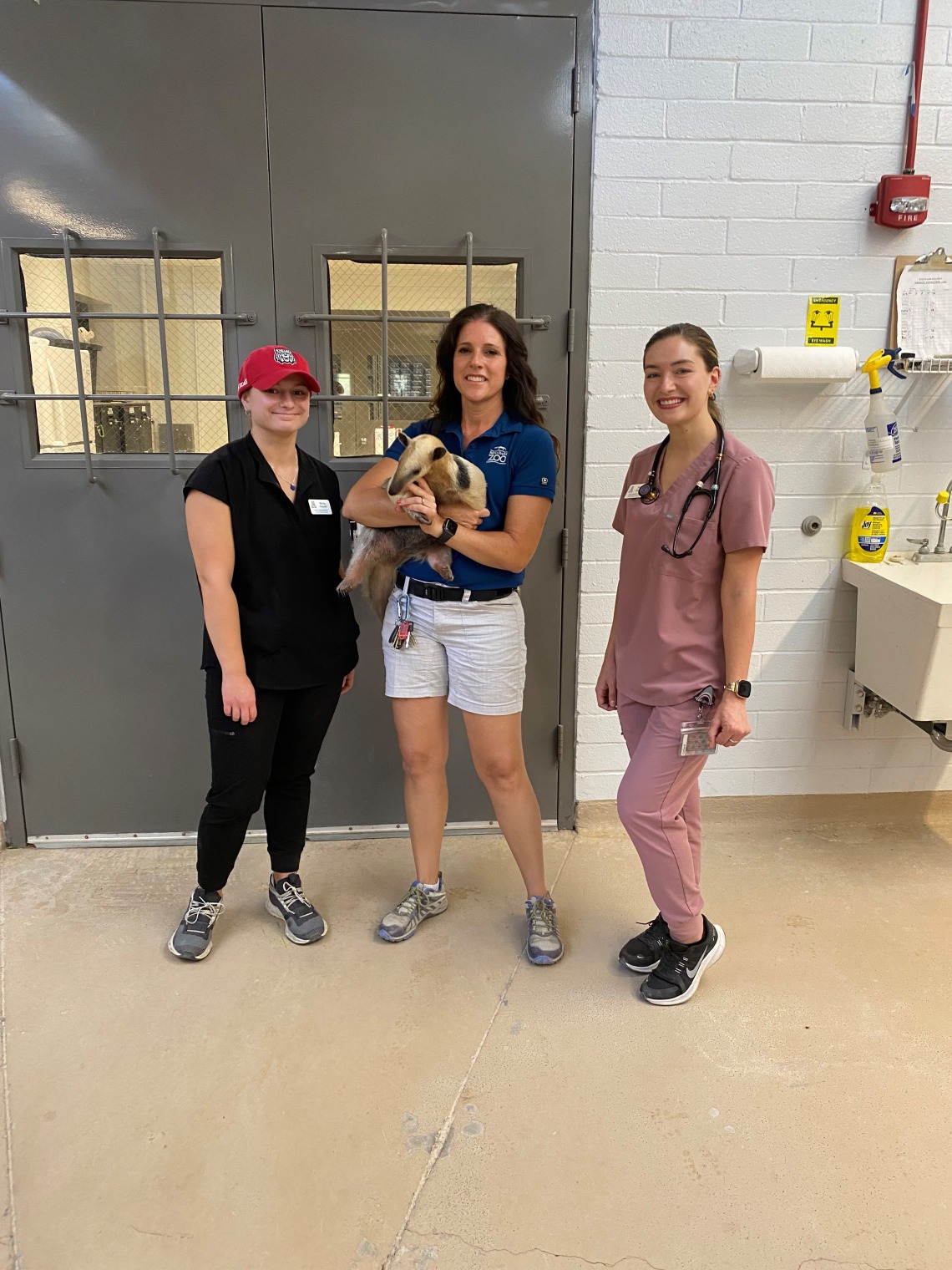 Two veterinary students stand with Dr. Alexis Roth of Reid Park Zoo.
