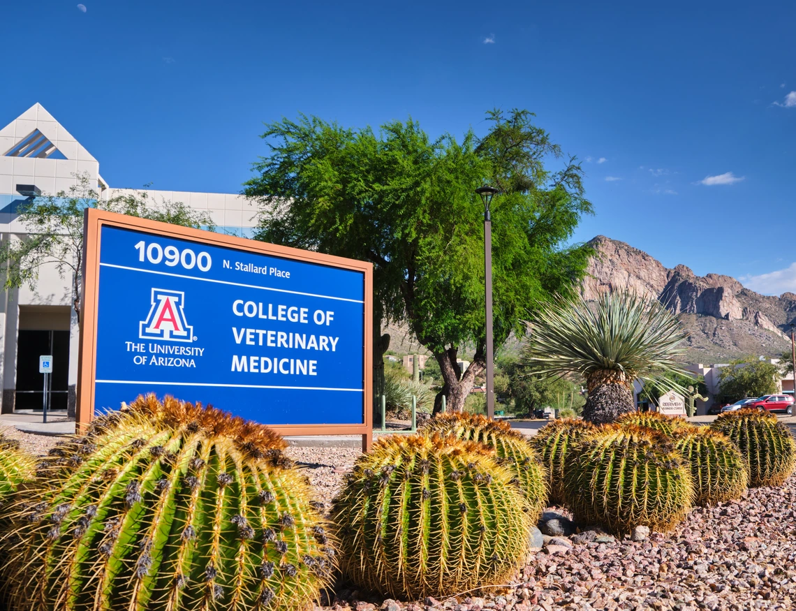college of veterinary medicine