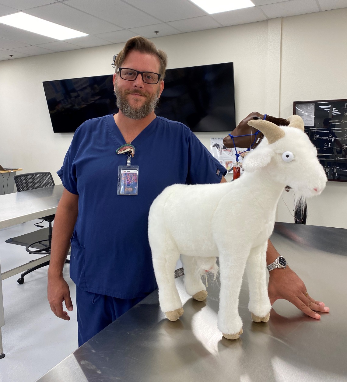 Vet tech Joseph Scarber stands with a model of a goat on an exam table.