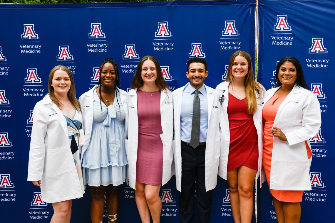 A group of six students poses in front of a University of Arizona logo background.