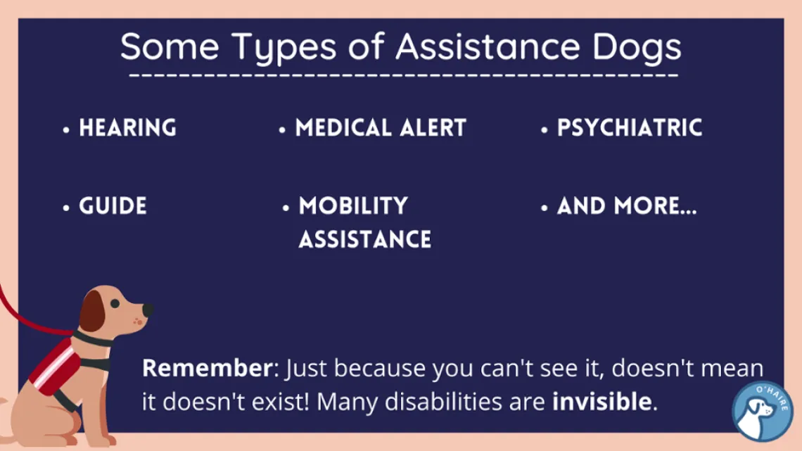 asst animal infographic 1