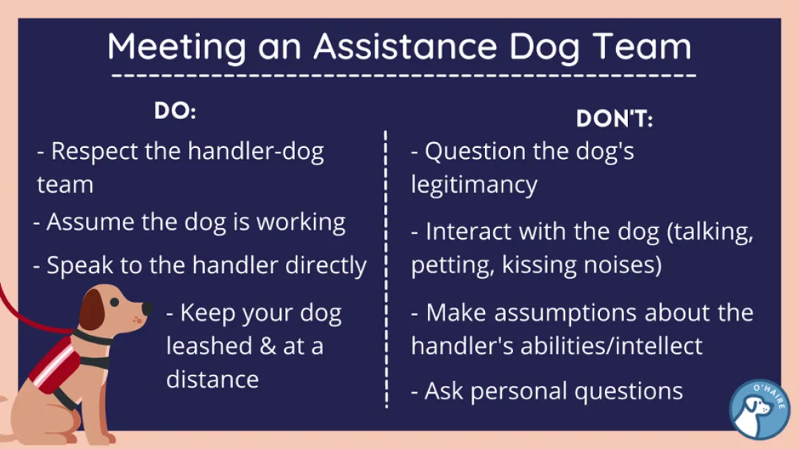 asst animal infographic 2