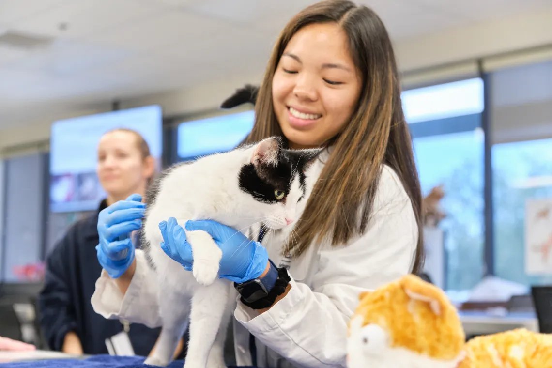 cat clinic photo