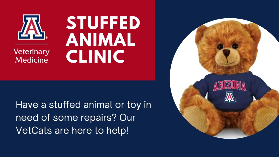 stuffed animal clinic