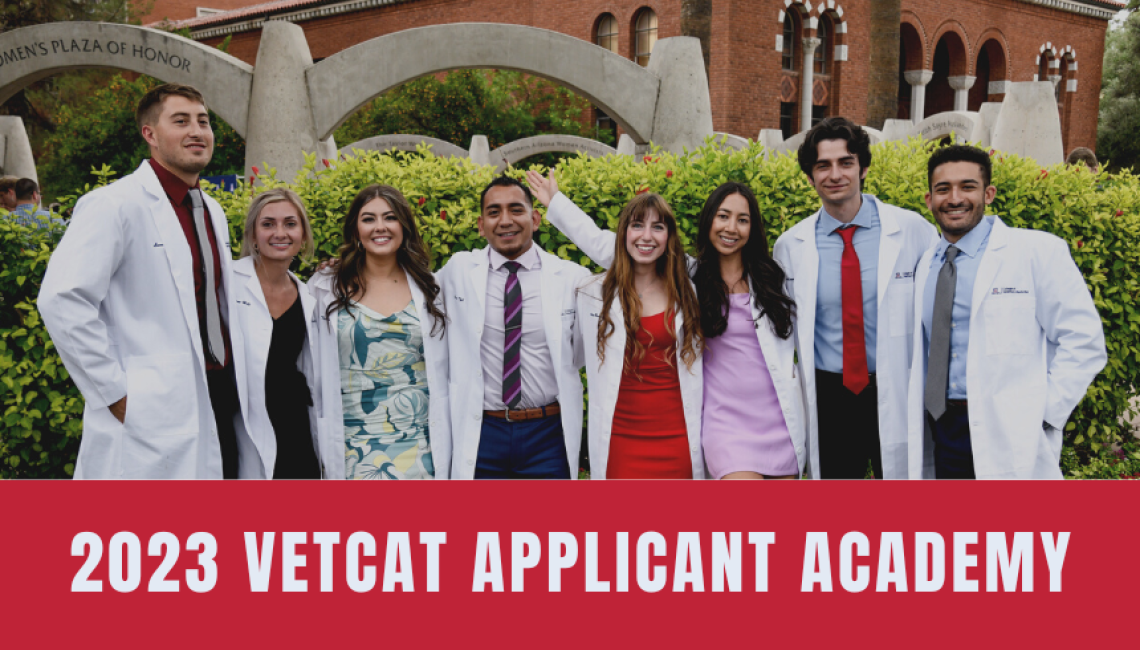 vetcat applicant academy