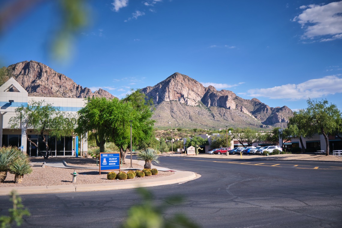 Picture of the Arizona College of Veterinary Medicine Oro Valley Campus