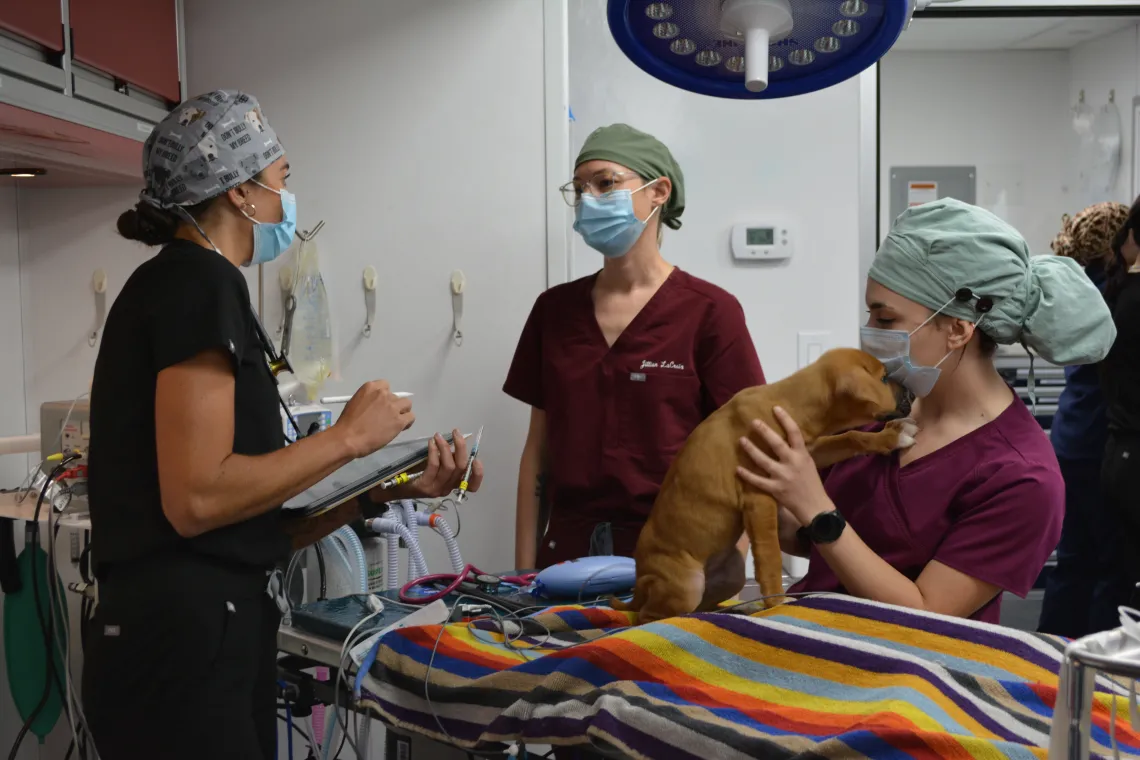 students in the mobile surgery unit