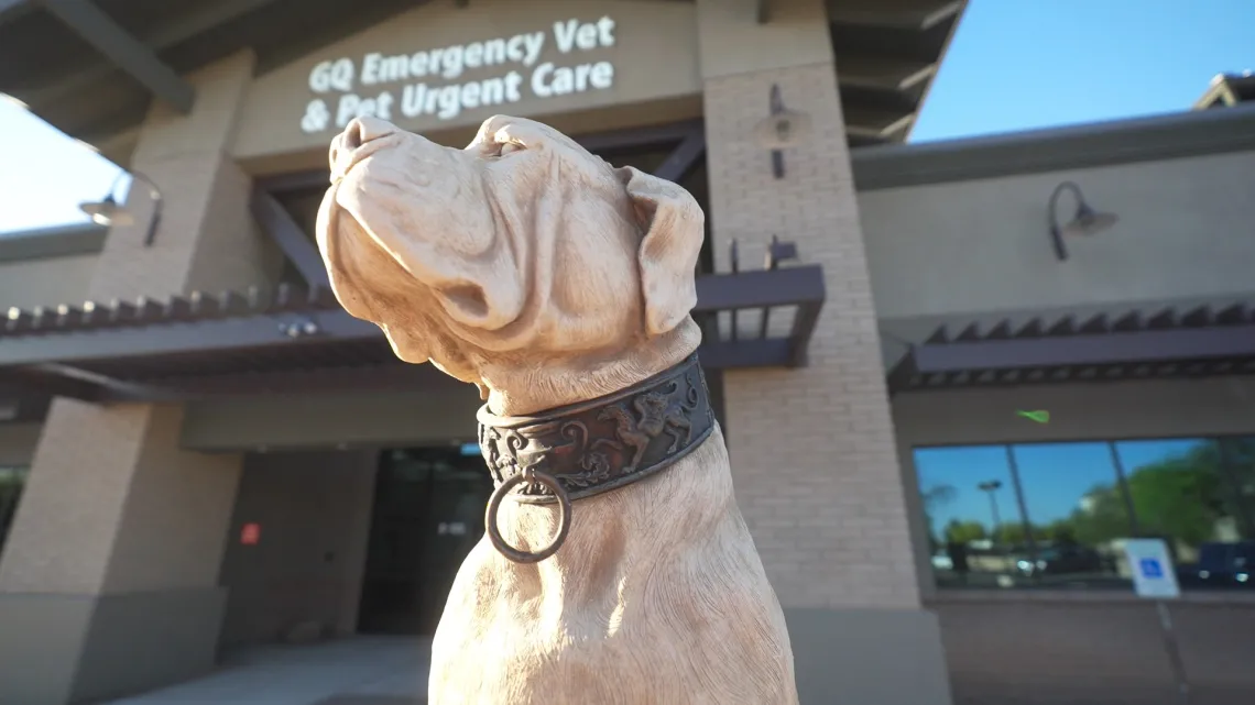 Exterior of Gilbert Queen Creek Emergency Veterinarian