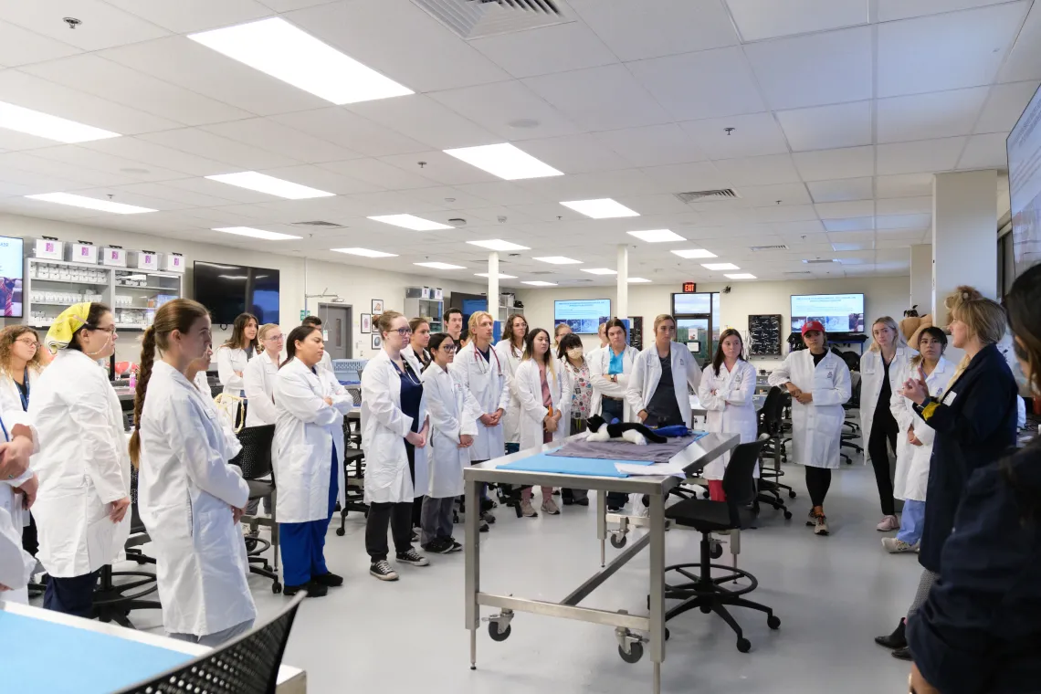 Students listening to a faculty member while in a lab. 