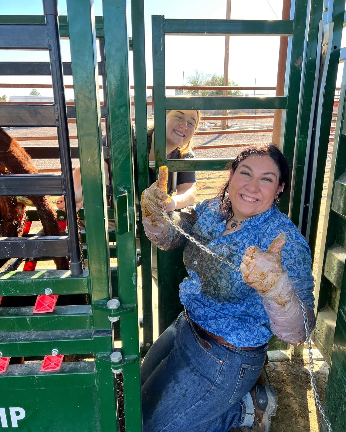 A smiling veterinarian wears gloves and gives a thumbs up.