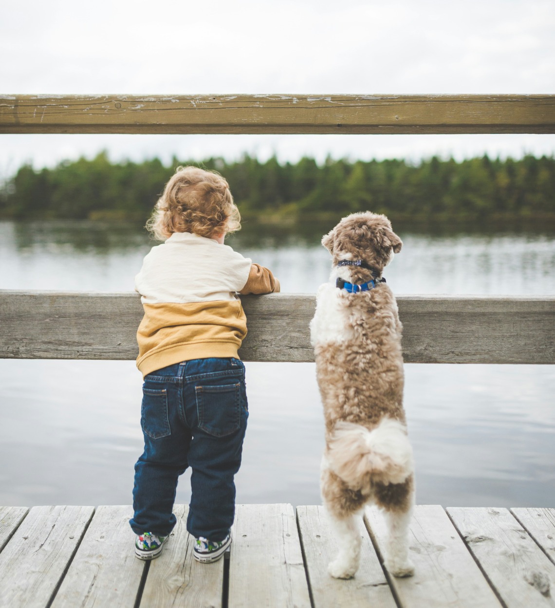 A child and dog stand on a dock and look out at the water.