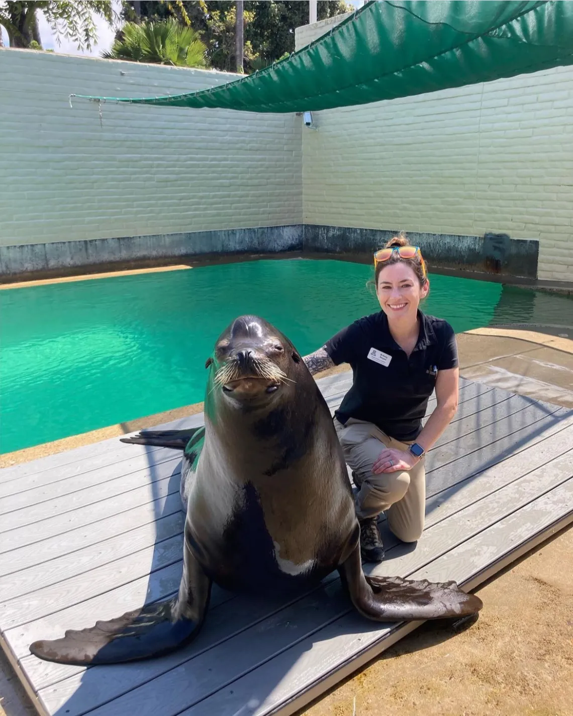 A woman smiles and kneels next to a large seal near a tank of water.