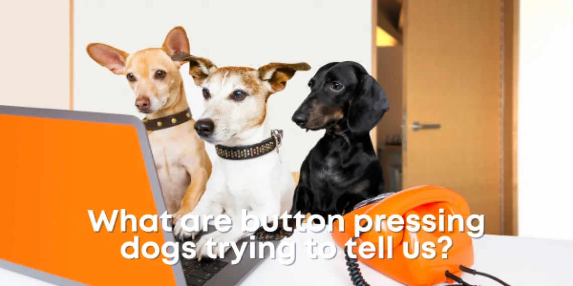 what are button pressing dogs trying to tell us?