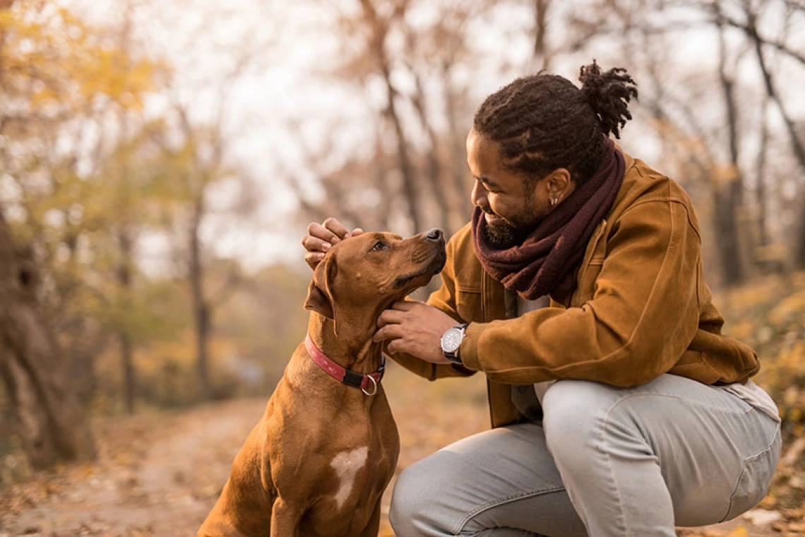 man and dog together