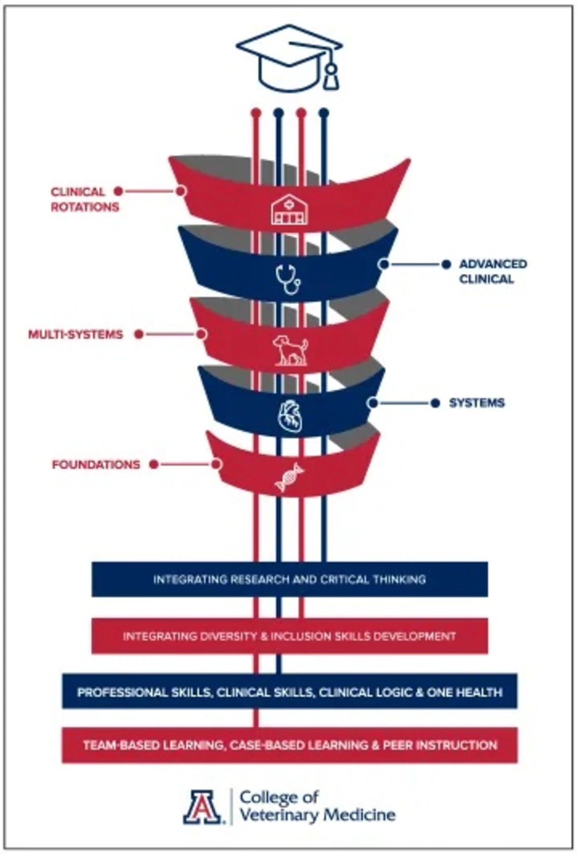 Graphic representing UA vet med spiral curriculum