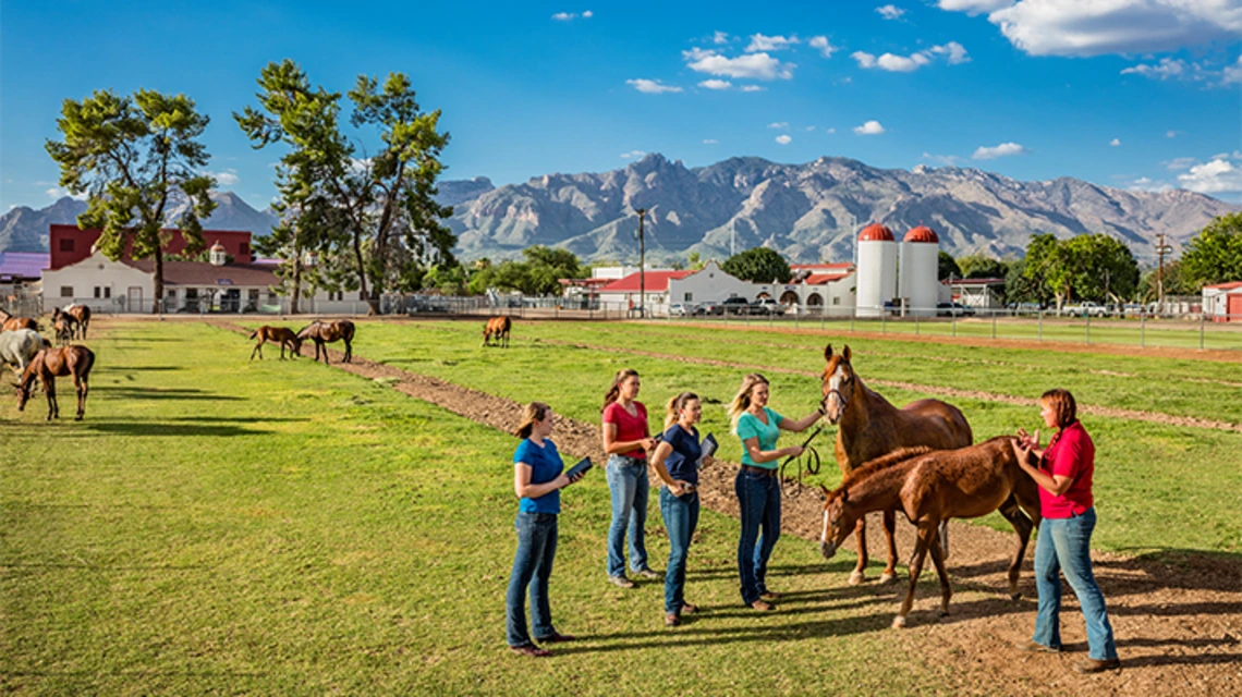 Group of students standing with horses at farm