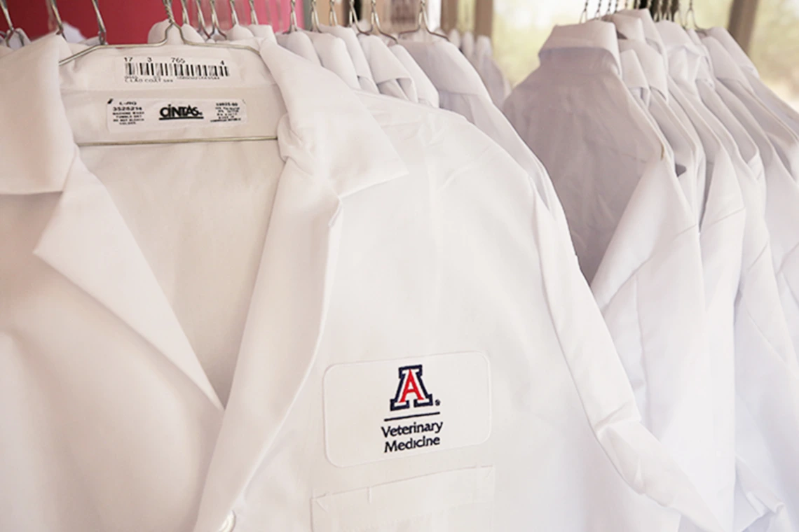 Close up of University of Arizona branded medical scrubs