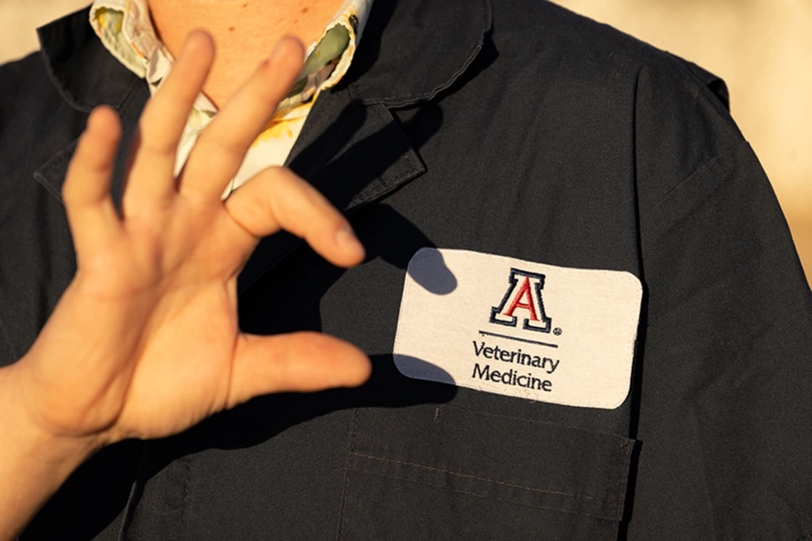Close up of vet med name tag on shirt