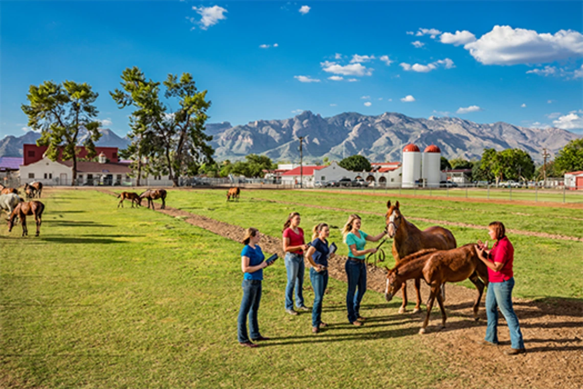 Group of students standing with horses at farm