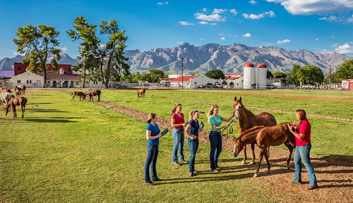 Group of students standing with horses at farm