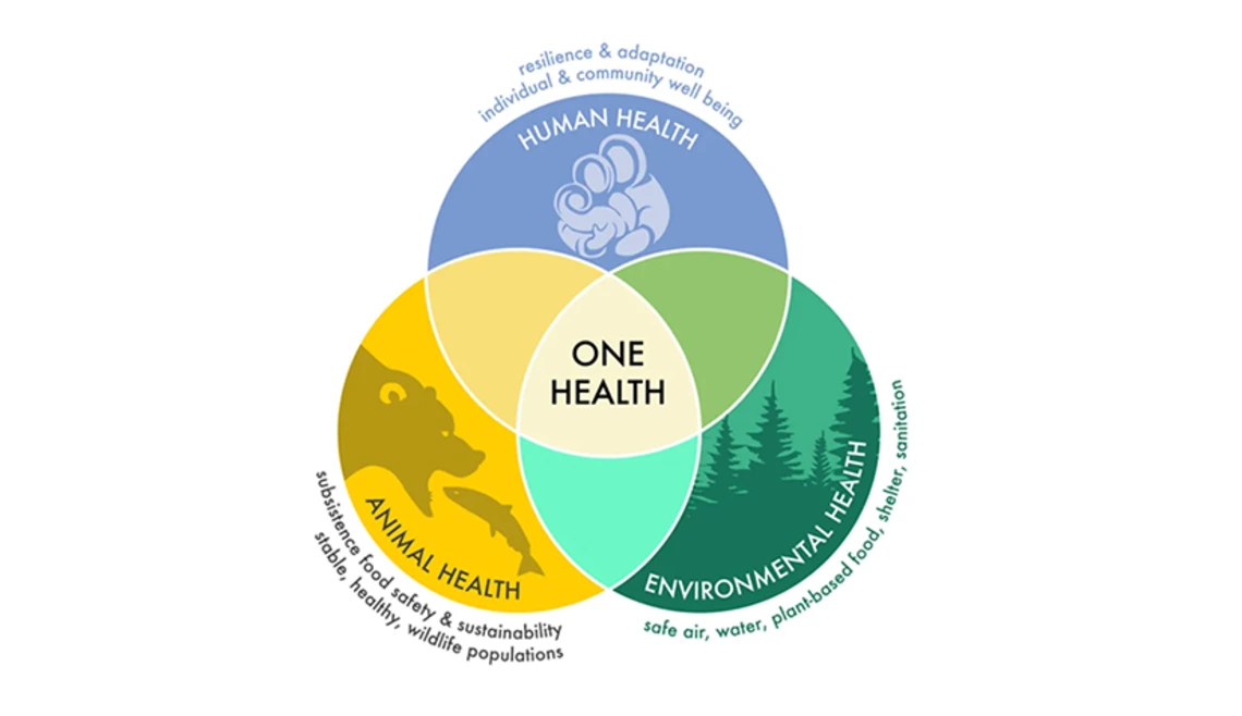 One Health venn diagram