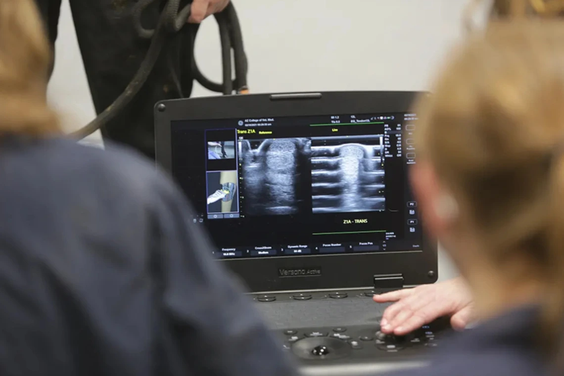 Students looking at medical device together