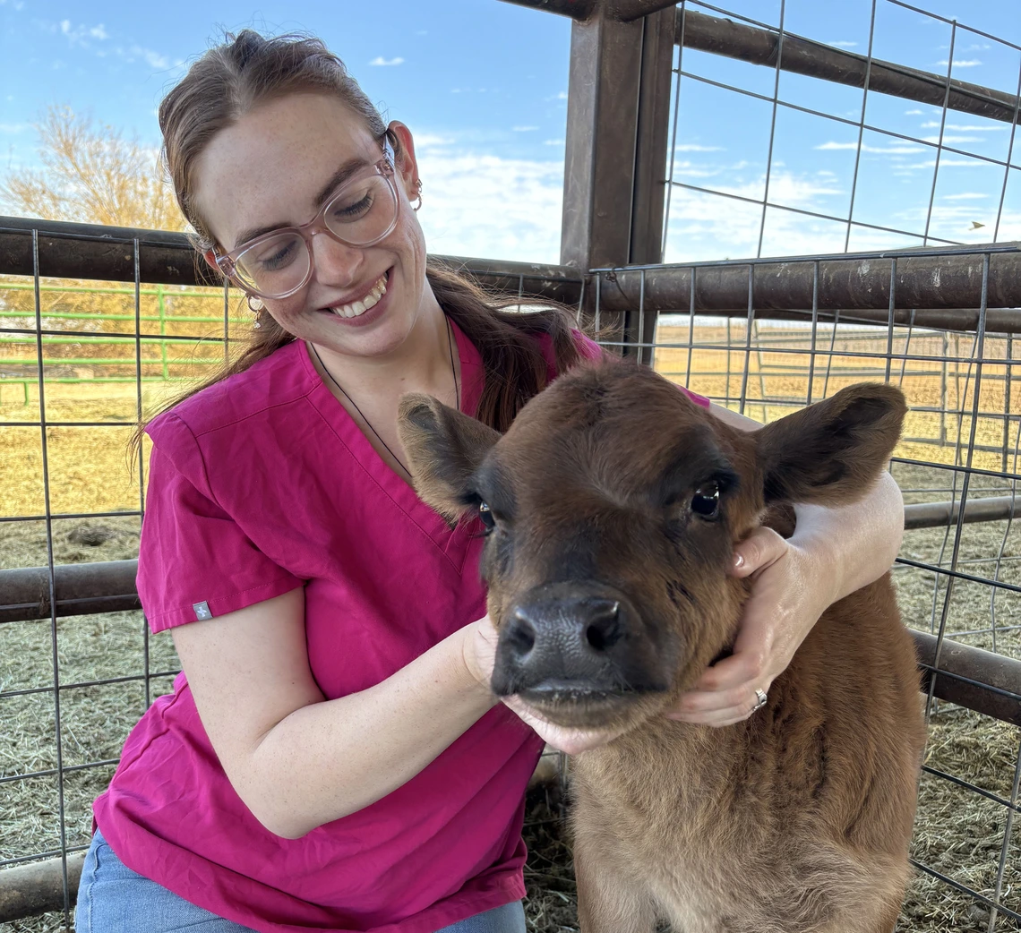 Jesse with a cow