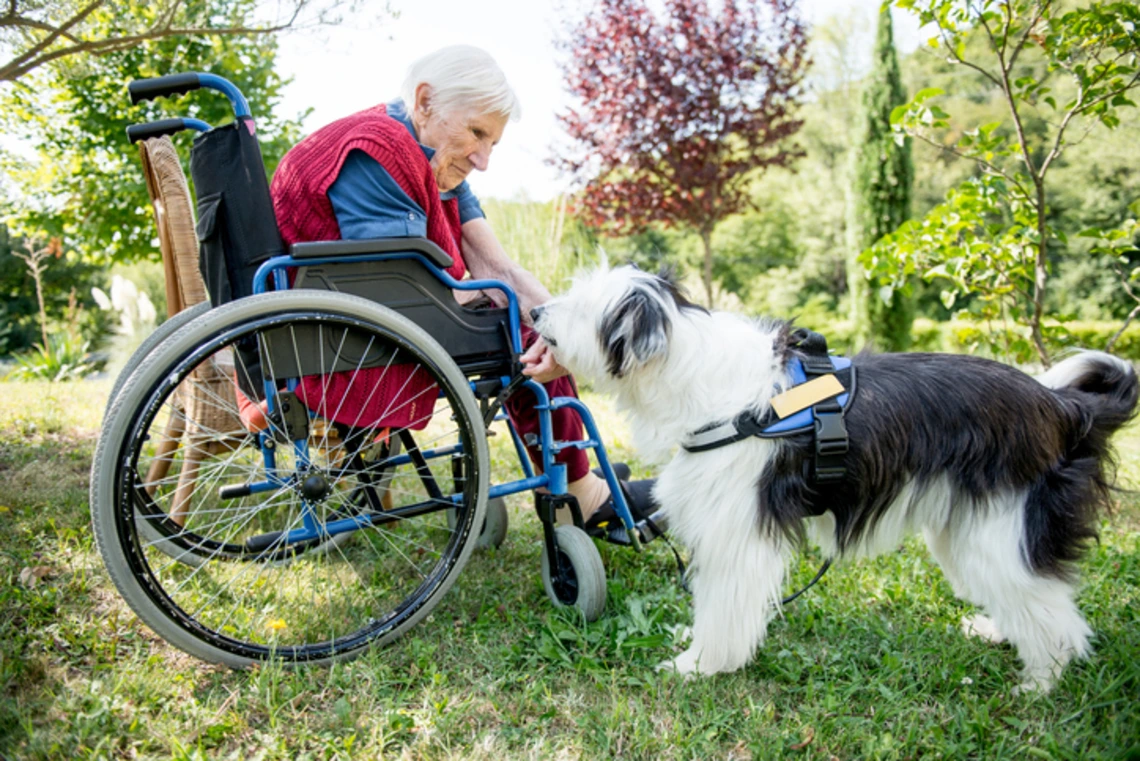 elderly woman in a wheelchair with a dog