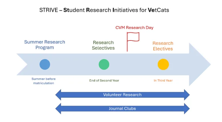 research opportunities