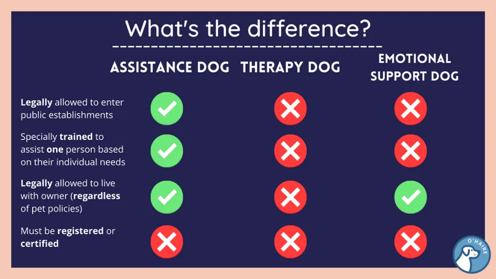 assistance dog guide