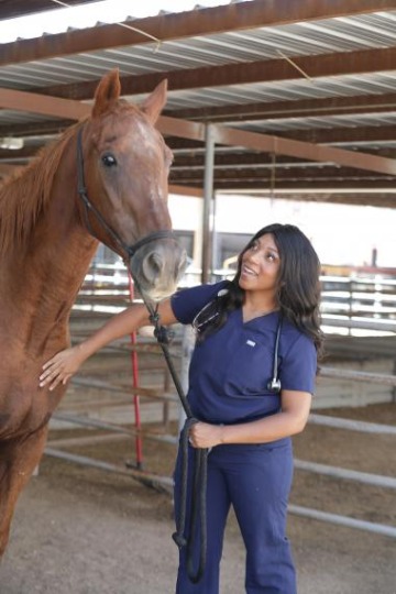 A young woman looks toward a tall brown horse.