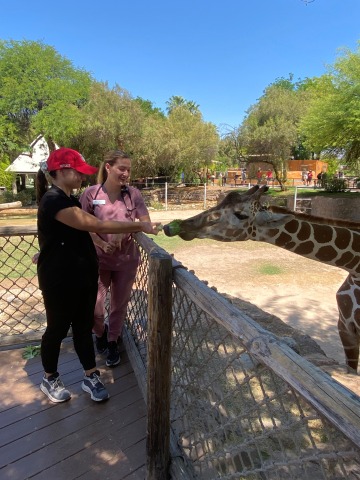 Two veterinary students feed lettuce to a giraffe.